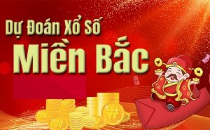 Dự đoán lô đẹp nhất 20/12